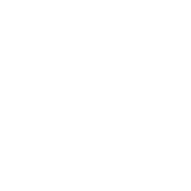Soil Food Web School