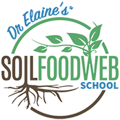 Soil Food Web School