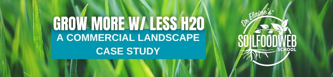 Grow More with Less Water: A Commercial Landscape Case Study
